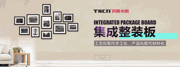 TSCN托斯卡纳集成墙面